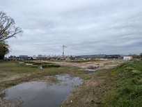 2026-04-03 16:42<BR>&nbsp;